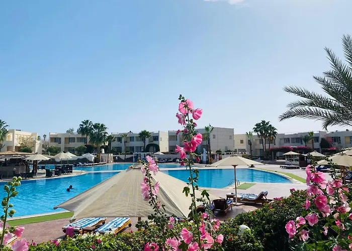Resort Reef 4*
